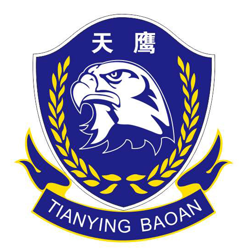 天鹰保安