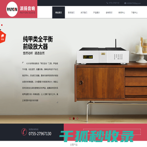 深圳派扬音响有限公司