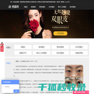 亮眼网