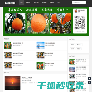 象山红美人柑橘网