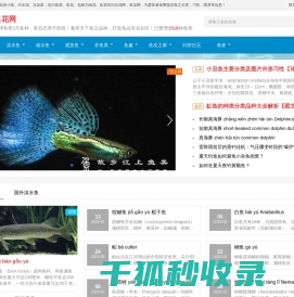 鱼种分类及图片