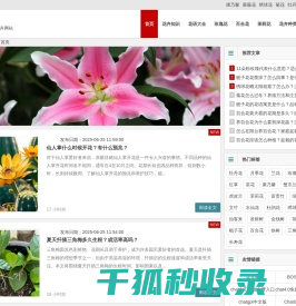 花儿网
