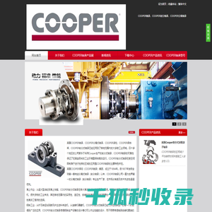 COOPER轴承