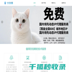 大白猫