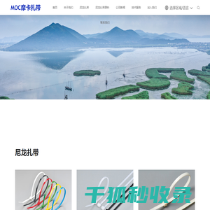 耐寒扎带