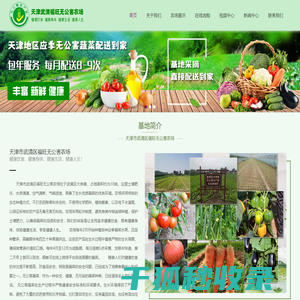 天津无公害蔬菜配送到家